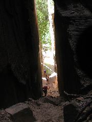 DSCN6491.JPG