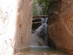 DSCN6495.JPG