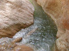 DSCN6497.JPG