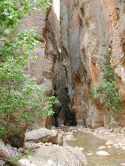 DSCN6505.JPG