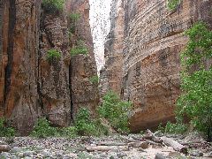 DSCN6509.JPG