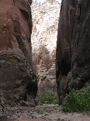 DSCN6511.JPG