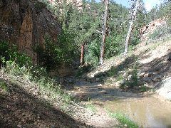 DSCN6447.JPG