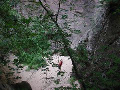 DSCN6521.JPG