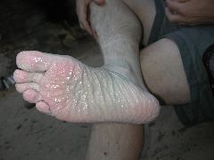 DSCN6527.JPG
