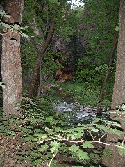 DSCN6528.JPG