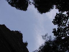 DSCN6530.JPG