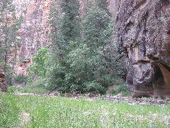 DSCN6537.JPG