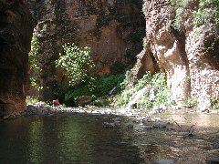 DSCN6545.JPG