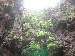 DSCN6550.JPG