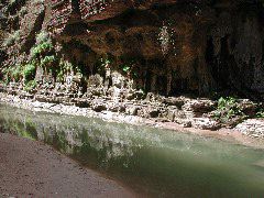 DSCN6555.JPG