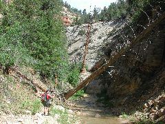 DSCN6451.JPG