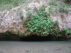 DSCN6556.JPG