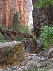DSCN6557.JPG
