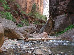 DSCN6558.JPG
