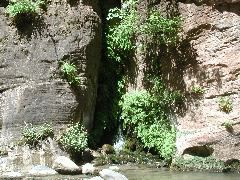 DSCN6561.JPG