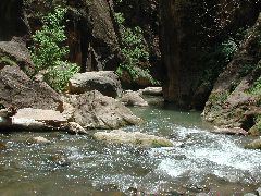 DSCN6567.JPG