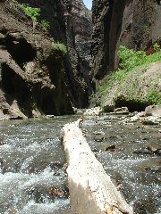 DSCN6574.JPG