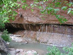 DSCN6582.JPG