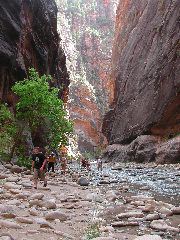 DSCN6590.JPG