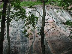 DSCN6592.JPG