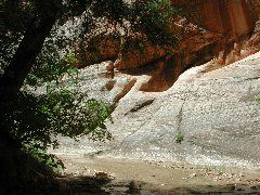 DSCN6460.JPG