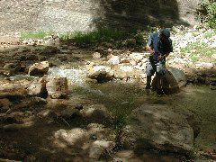 DSCN6462.JPG