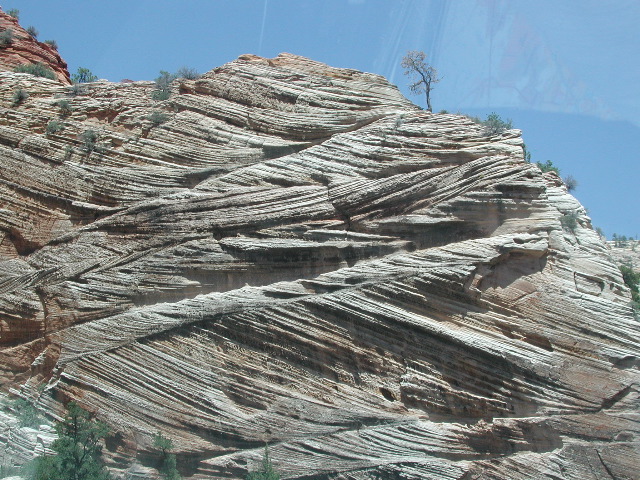 DSCN6616.JPG