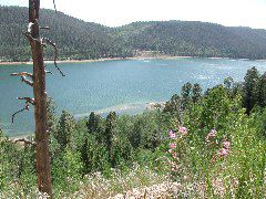 DSCN6627.JPG